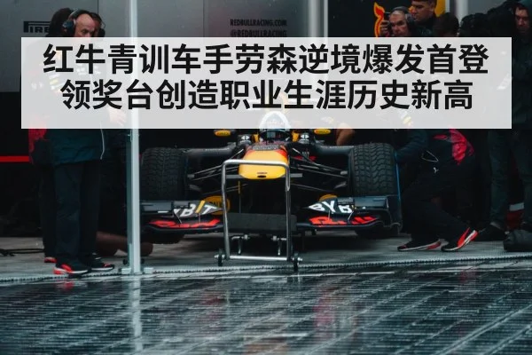 Red Bull racing pit stop