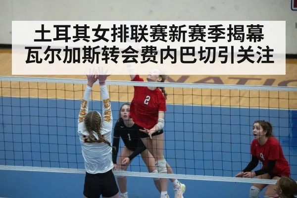土耳其女排联赛新赛季揭幕 瓦尔加斯转会费内巴切引关注