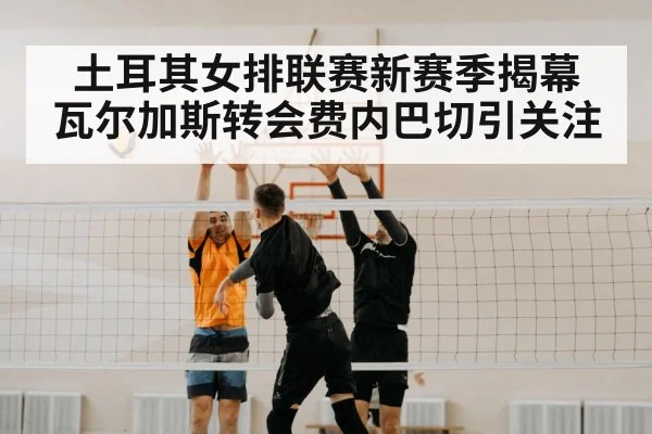 volleyball block